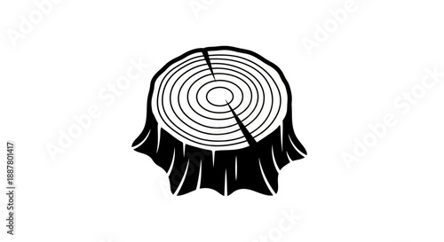 Tree Stump Cross Section Illustration.