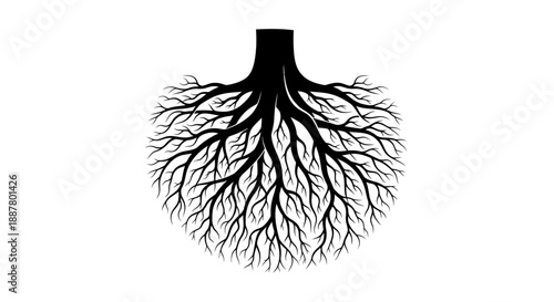 Black silhouette of branching blood vessels.