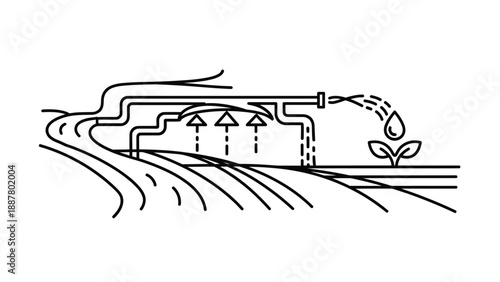 Irrigation system watering young plant.
