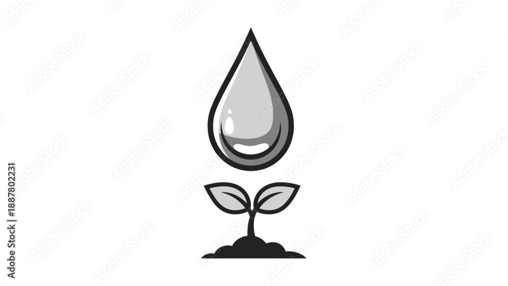 Fototapeta premium Water Drop on Young Plant Seedling.