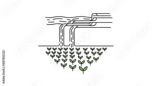 Irrigation system watering green plants.