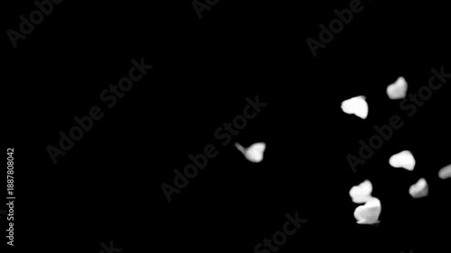 White glowing butterflies or moths ascend rapidly across a dark screen, designed as a luminous overlay motion graphics element with an integrated alpha channel for easy video compositing