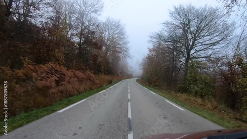Wallpaper Mural Point of view drive along a quiet forest road in autumn mist Torontodigital.ca