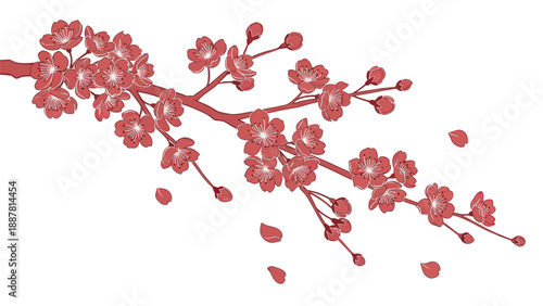Cherry Blossom Branch with Falling Petals - Pink Floral Illustration