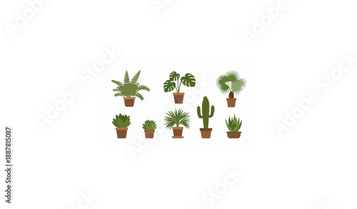 Set of decorative houseplants to decorate the interior of a house or apartment.