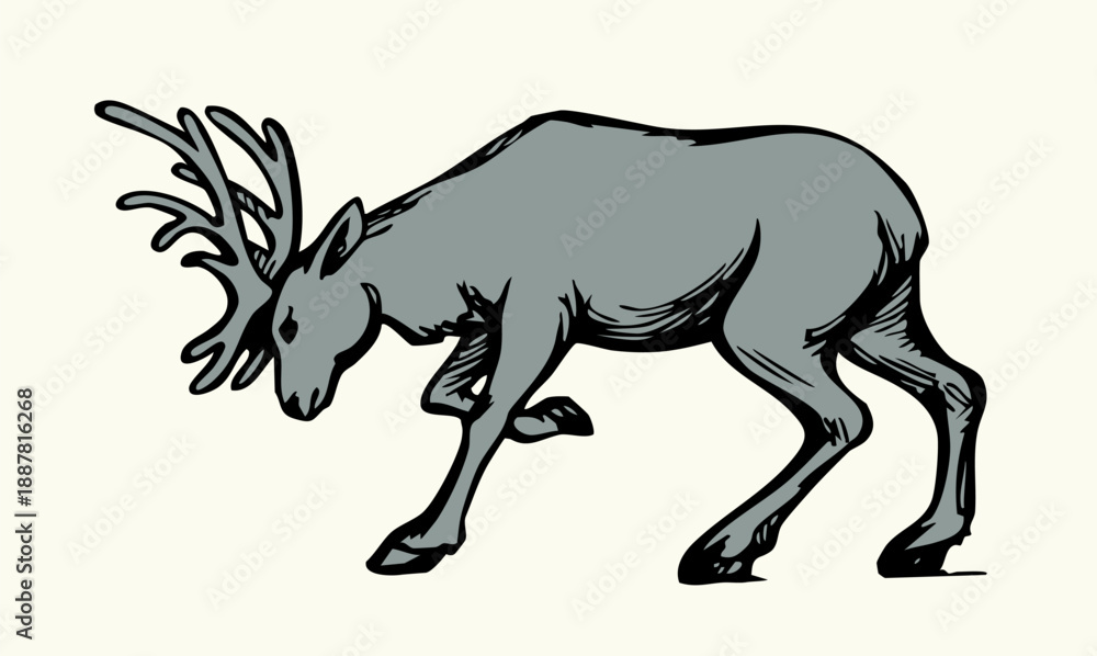 Fototapeta premium Vector drawing. The reindeer bent its antlers