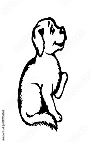 Cute small dog. Vector drawing.