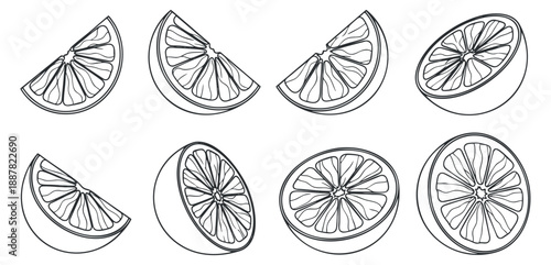 A collection of lime, lemon, and orange slices in black and white outline vector style, ideal for food illustrations and health-related designs