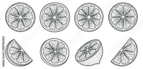 A set of lemon and lime slices in outline vector style, ideal for food packaging and summer-themed designs