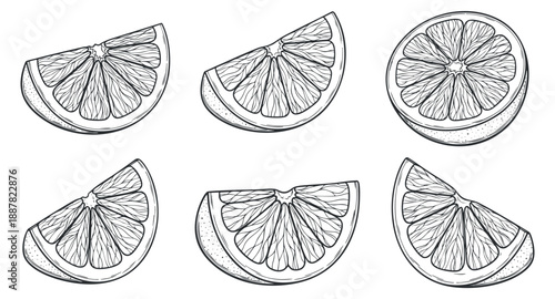 A collection of lemon slices in black and white outline vector style, suitable for food illustrations and packaging design