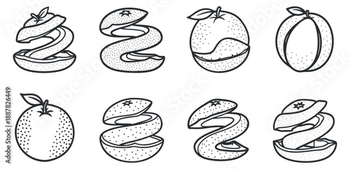 A collection of sliced oranges and peaches in black and white outline vector style, ideal for food packaging and branding
