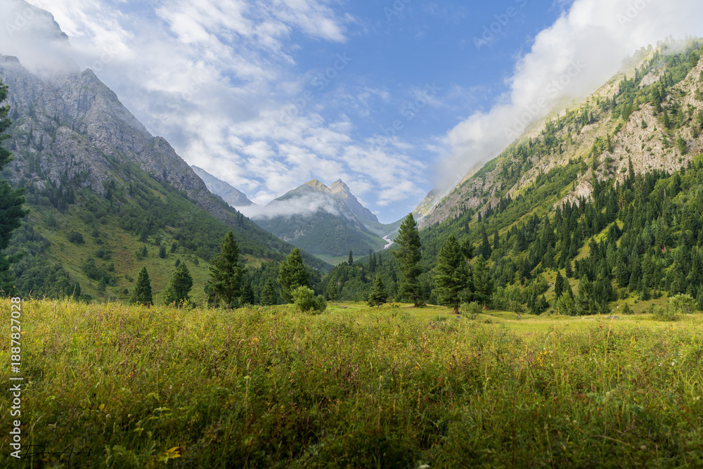 Fototapeta premium Scenic View of Pine and birch Forests and Mountains in Minimarg Valley