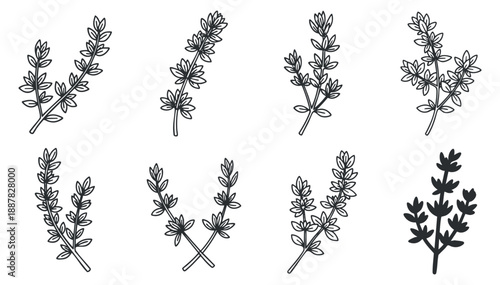 A collection of eight botanical leaf illustrations in outline style, suitable for nature-themed designs and eco-friendly branding