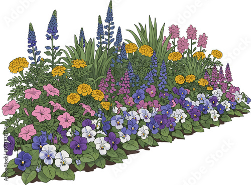 Create a realistic Long and colorful flowerbed with blooming violets and other plants and flowers vector art with white background..