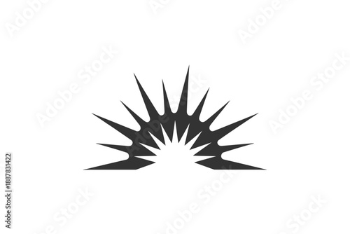 Abstract black burst shape with jagged edges and central brightness