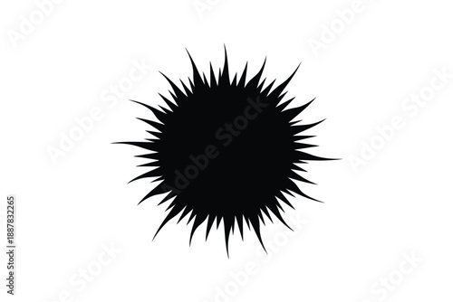 A striking black circular shape with numerous sharp pointed spikes radiating outwards
