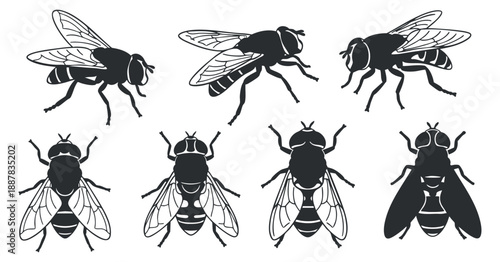 A set of black silhouette bees in various poses and angles, featuring detailed wings and body structure, ideal for nature-themed designs