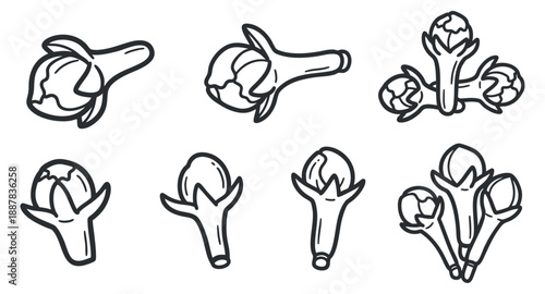 A set of hand-drawn artichokes in outline style, suitable for organic food branding and culinary designs