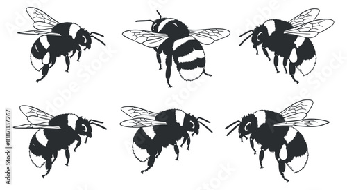 A set of six bumblebee illustrations in black and white vector style, ideal for nature and environmental projects