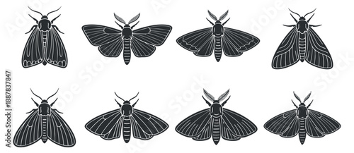 A collection of moth and butterfly silhouettes in black and white minimalist vector style, suitable for nature-themed designs