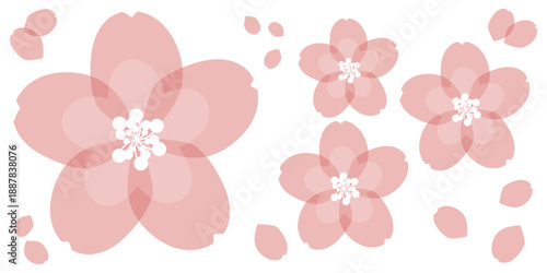 Japanese Style Pastel Pink Sakura Cherry Blossoms for Graduation Enrollment Celebration Spring Yume Kawaii Vector for Video Production, SNS Banners, Flyers, and White Space.