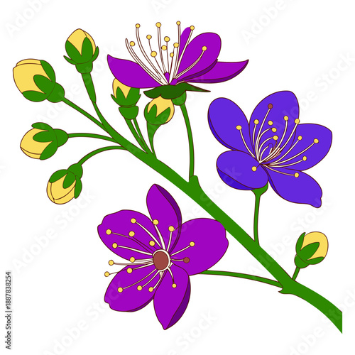 Vibrant illustration featuring a cluster of purple plum blossoms with yellow unopened buds growing along a diagonal green stem against a clean white background, perfect for springtime design elements.