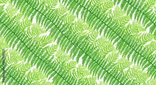 Close-up of a lush green fern leaf pattern with a natural texture and growth background in a tropical summer setting.