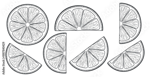 A collection of lemon and lime slices in black and white outline vector style, suitable for food packaging and branding