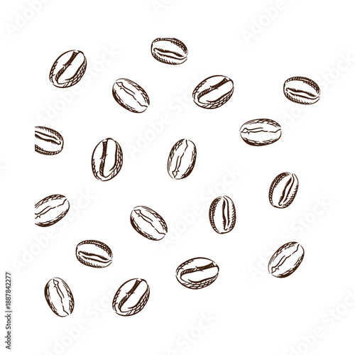 Top view of many roasted coffee beans vector illustration isolated on white background for cafe and food design