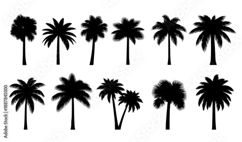 Palm Tree Silhouette Icon Set Black Vector Tropical Nature Collection