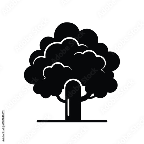 Tree with Large Canopy and Trunk