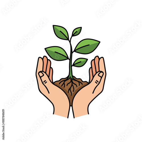 Hands Cradling Seedling Plant Growing