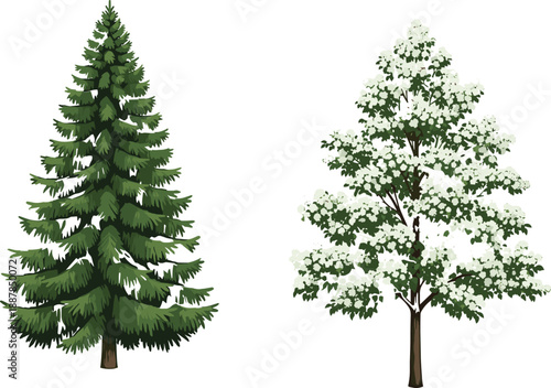 Evergreen pine tree and flowering deciduous tree illustration set, detailed forest nature elements, seasonal plants vector design collection