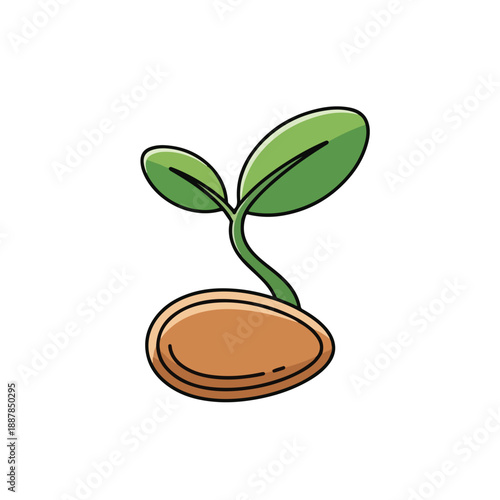 Seedling Plant Sprouting from Seed