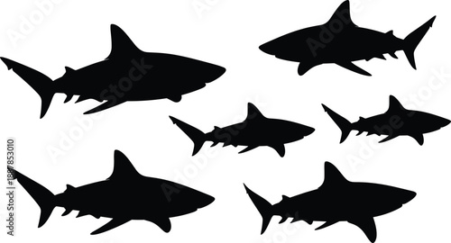 Black silhouette sharks set in different swimming positions isolated on white background illustrating marine wildlife ocean predators movement nature and aquatic animal diversity