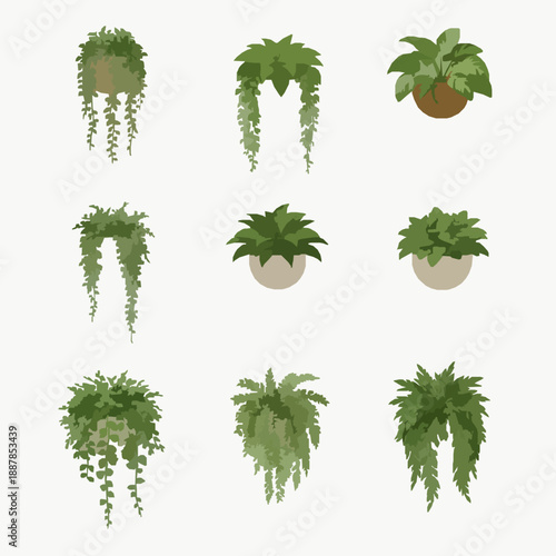 Wall Mounted Plants 3D Cutout Vector Set Isolated on Transparent Background