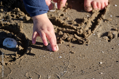 Childs hand exploring shells and sand on a sunny beach during daytime play