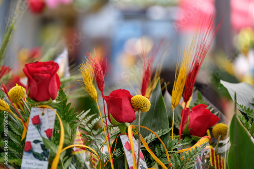 Vibrant red roses and traditional colored wheat bouquets prepared for Sant Jordi celebration in Catalonia