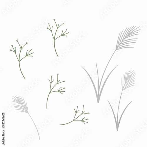 Grass Vector Set – Herbaceous Grass Family