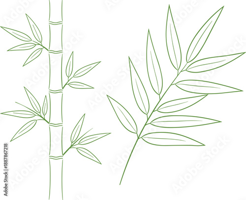 Minimal botanical line art illustration set, bamboo stalk and leaf branch outline design for eco branding, decor, nature themes