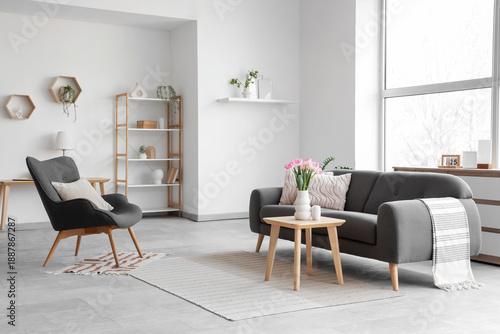 Interior of light living room with sofa, armchair and plants