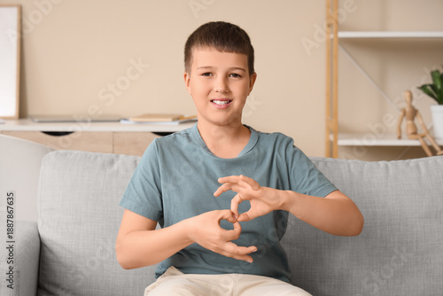 Mute boy using sign languag...
