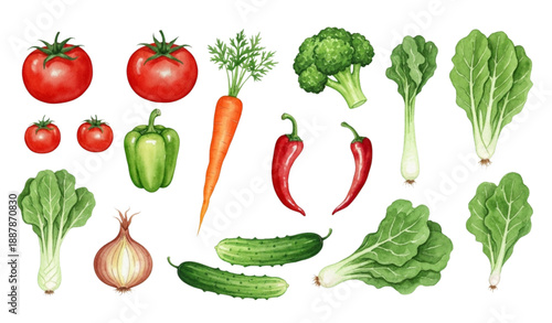 Watercolor vegetable set with hand painted fresh food illustrations isolated on white