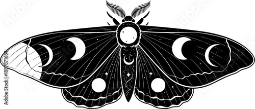 Celestial Luna Moth Moon Phases Magic Silhouette
