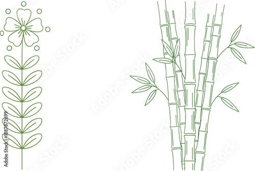 Minimal botanical line art illustration set, flower and bamboo plants, elegant green outline design for zen eco branding decor