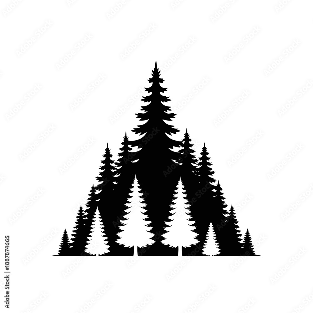 Fototapeta premium Black silhouette of pine trees group.