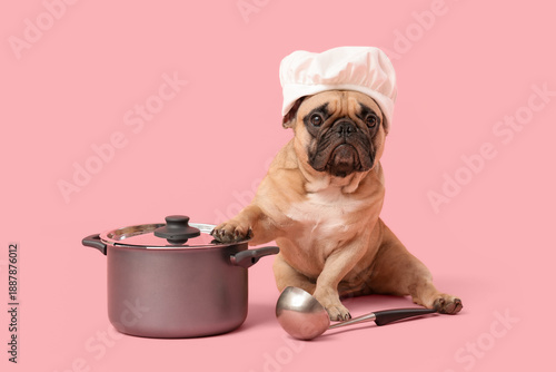 Cute French bulldog in chef's hat with cooking pot and ladle on pink background © Pixel-Shot