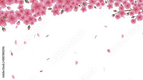 桜の花びらが散るアニメーション