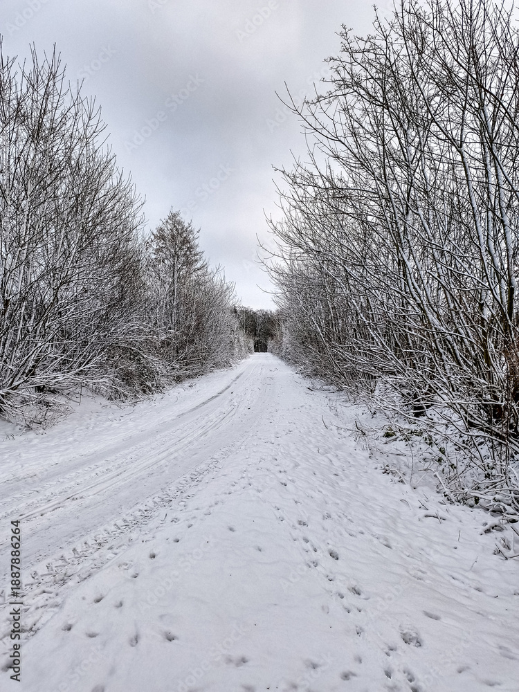 Obraz premium road in winter