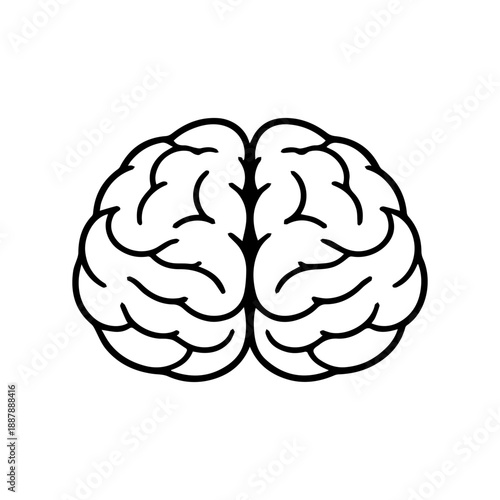 Human brain front view line icon for anatomy and medical education